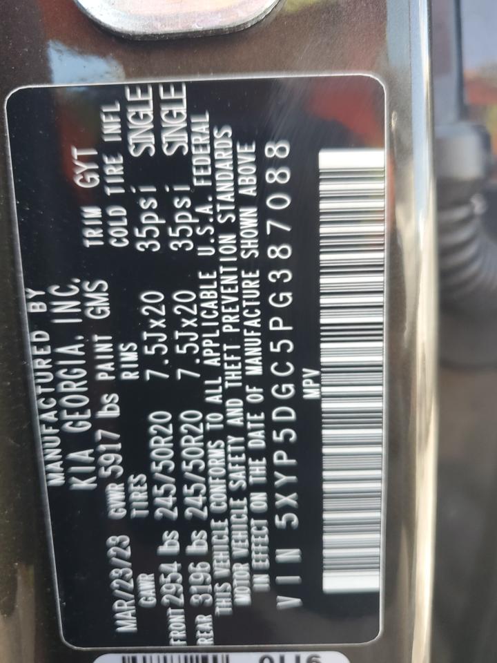 2023 Kia Telluride Sx VIN: 5XYP5DGC5PG387088 Lot: 60807605