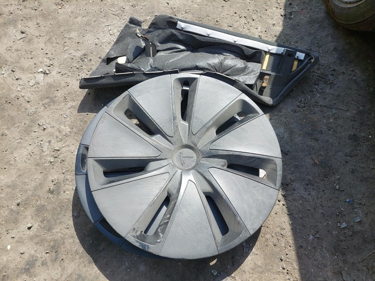 LRW3E7EK0RC300860 - 2024 Tesl MODEL 3 - #59241175
