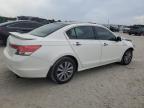 2011 Honda Accord Exl 3.5L zu verkaufen in Jacksonville, FL - Front End
