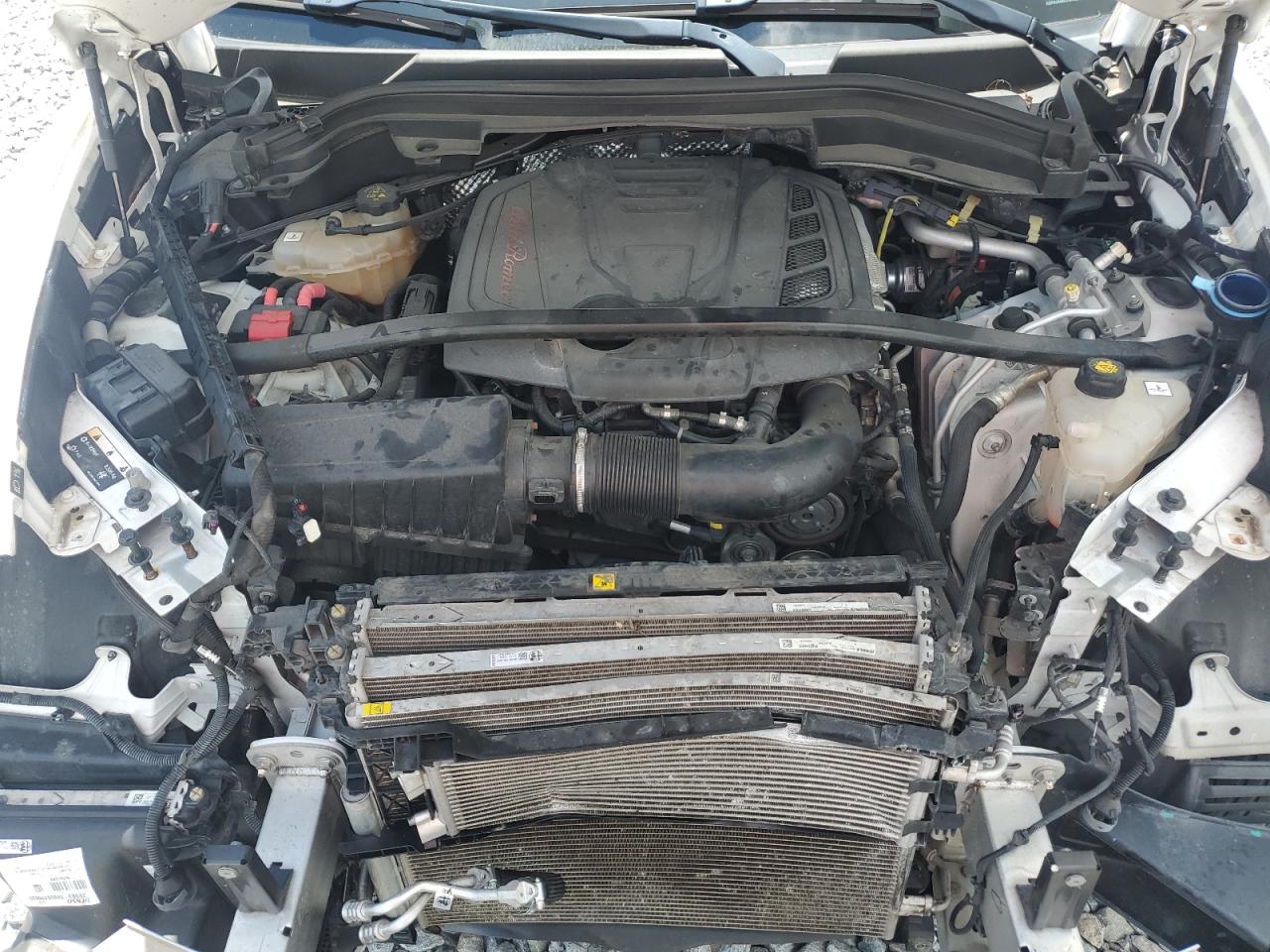 2020 Alfa Romeo Stelvio VIN: ZASPAJAN6L7C74897 Lot: 61764325
