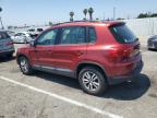 2016 Volkswagen Tiguan S за продажба в Van Nuys, CA - Minor Dent/Scratches