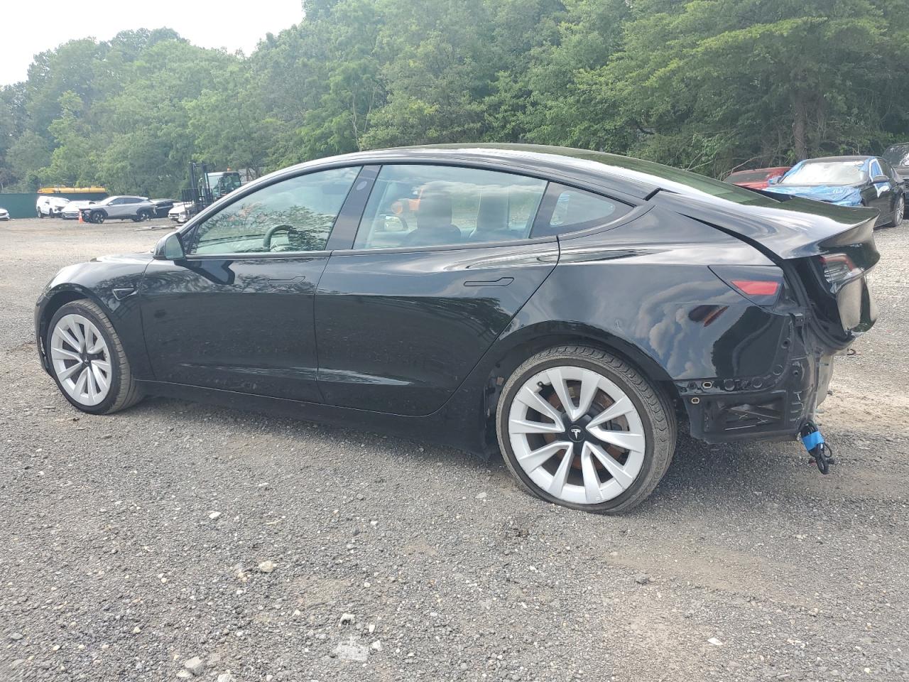 2023 Tesla Model 3 VIN: 5YJ3E1EAXPF451972 Lot: 60165475