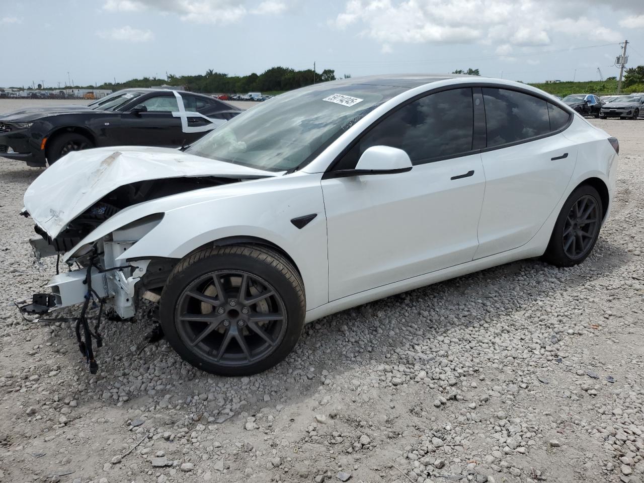 2022 Tesla Model 3 за продажба в West Palm Beach, FL - Front End