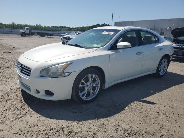 Sedans NISSAN MAXIMA 2013 White