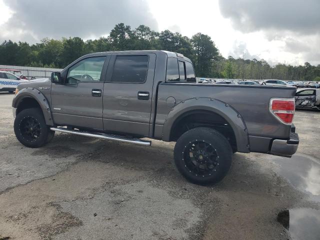 Пикапы FORD F-150 2013 Серый