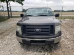 2010 Ford F150  for Sale in Cicero, IN - Rear End