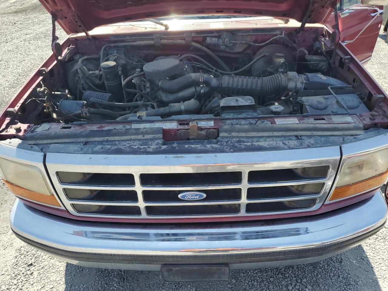 1994 Ford F150 VIN: 1FTEX15N3RKB96707 Lot: 63075745