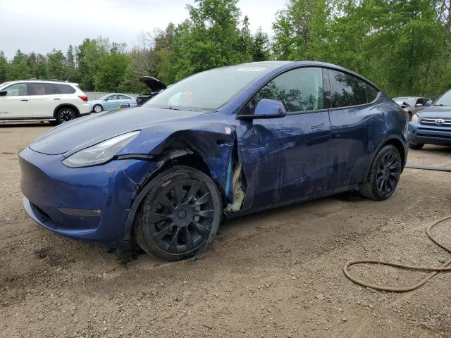 2023 TESLA MODEL Y    à vendre chez Copart ON - COOKSTOWN