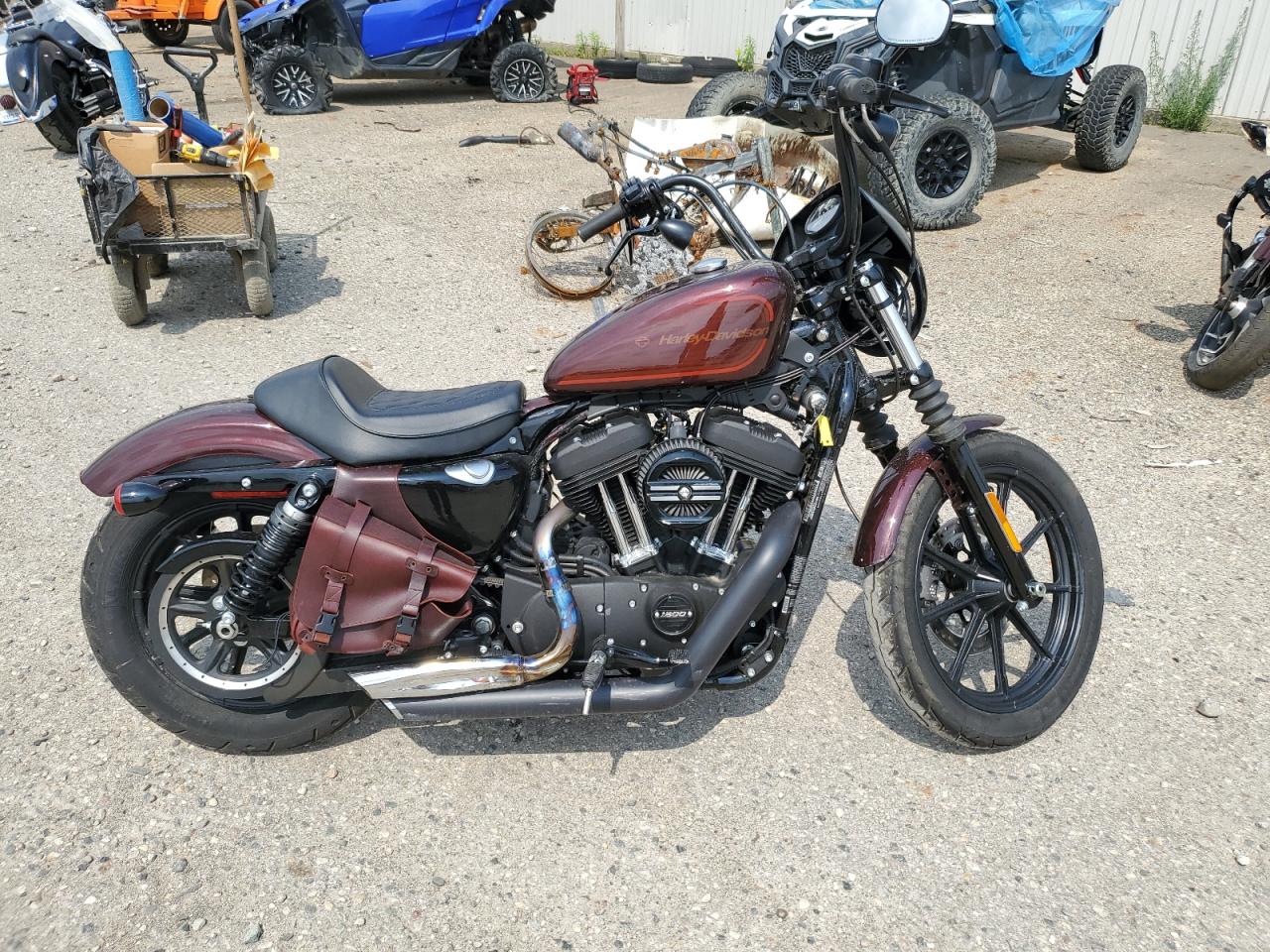 2019 Harley-Davidson Xl1200 Ns