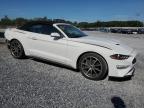 2019 Ford Mustang    for Sale in Cartersville, GA - Rear End
