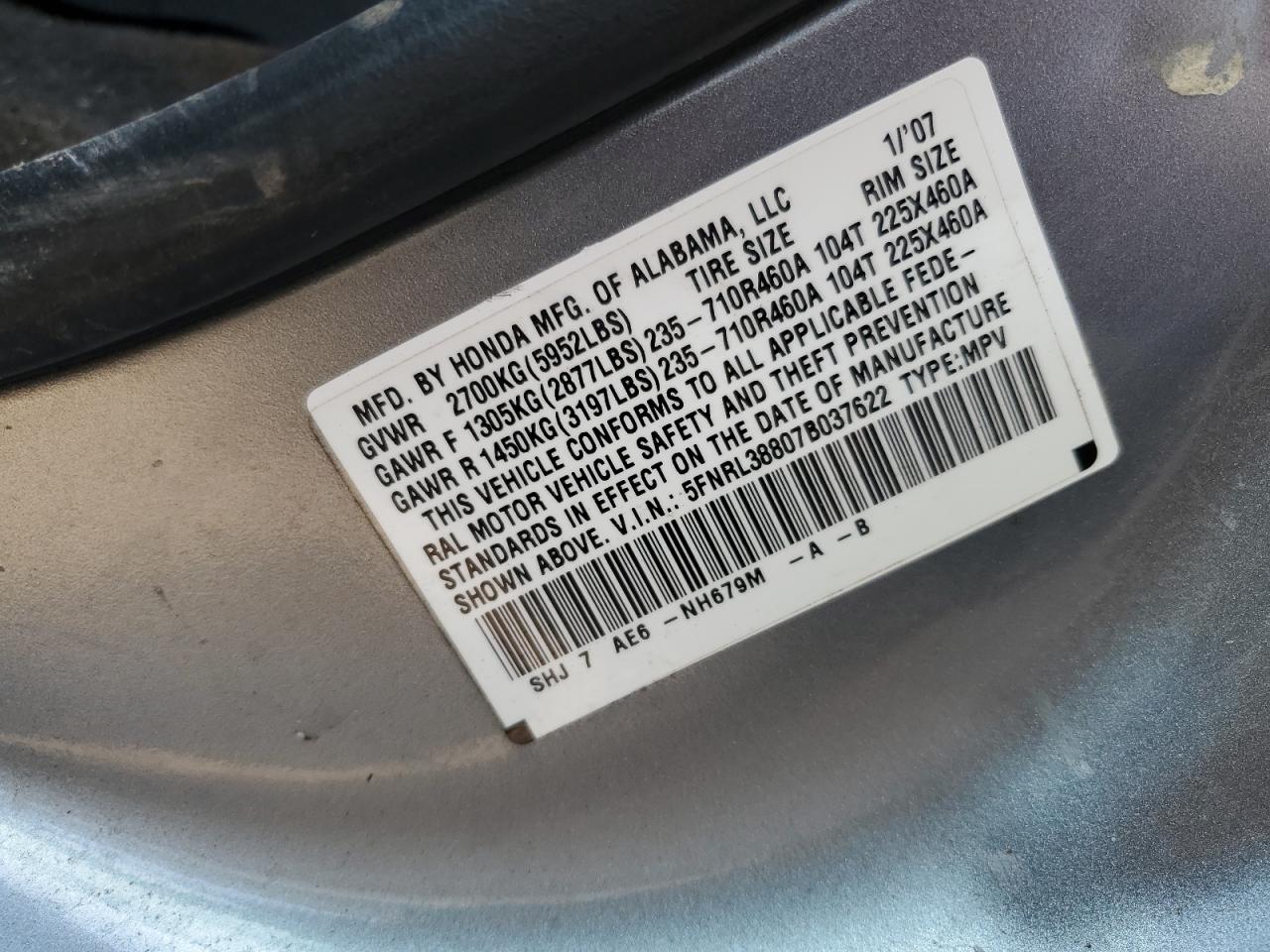 2007 Honda Odyssey Touring VIN: 5FNRL38807B037622 Lot: 59008255