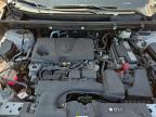 2023 TOYOTA RAV4 XLE   à vendre chez Copart QC - MONTREAL