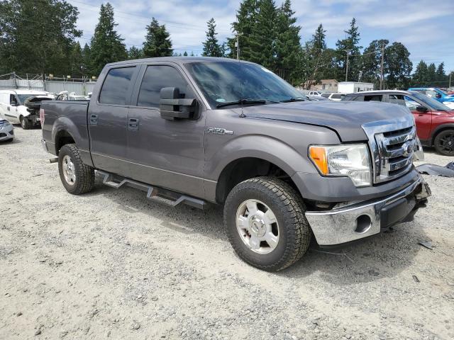  FORD F-150 2012 Szary