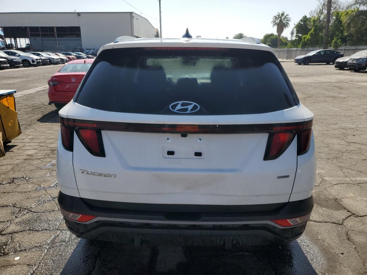 2024 Hyundai Tucson Sel VIN: 5NMJBCDE3RH307519 Lot: 61855435