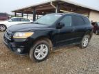 2011 Hyundai Santa Fe Se продається в Tanner, AL - Front End