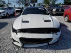 2019 Ford Mustang Gt na sprzedaż w Riverview, FL - Front End
