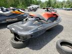 2019 SEADOO RXPX 300   à vendre chez Copart ON - COOKSTOWN
