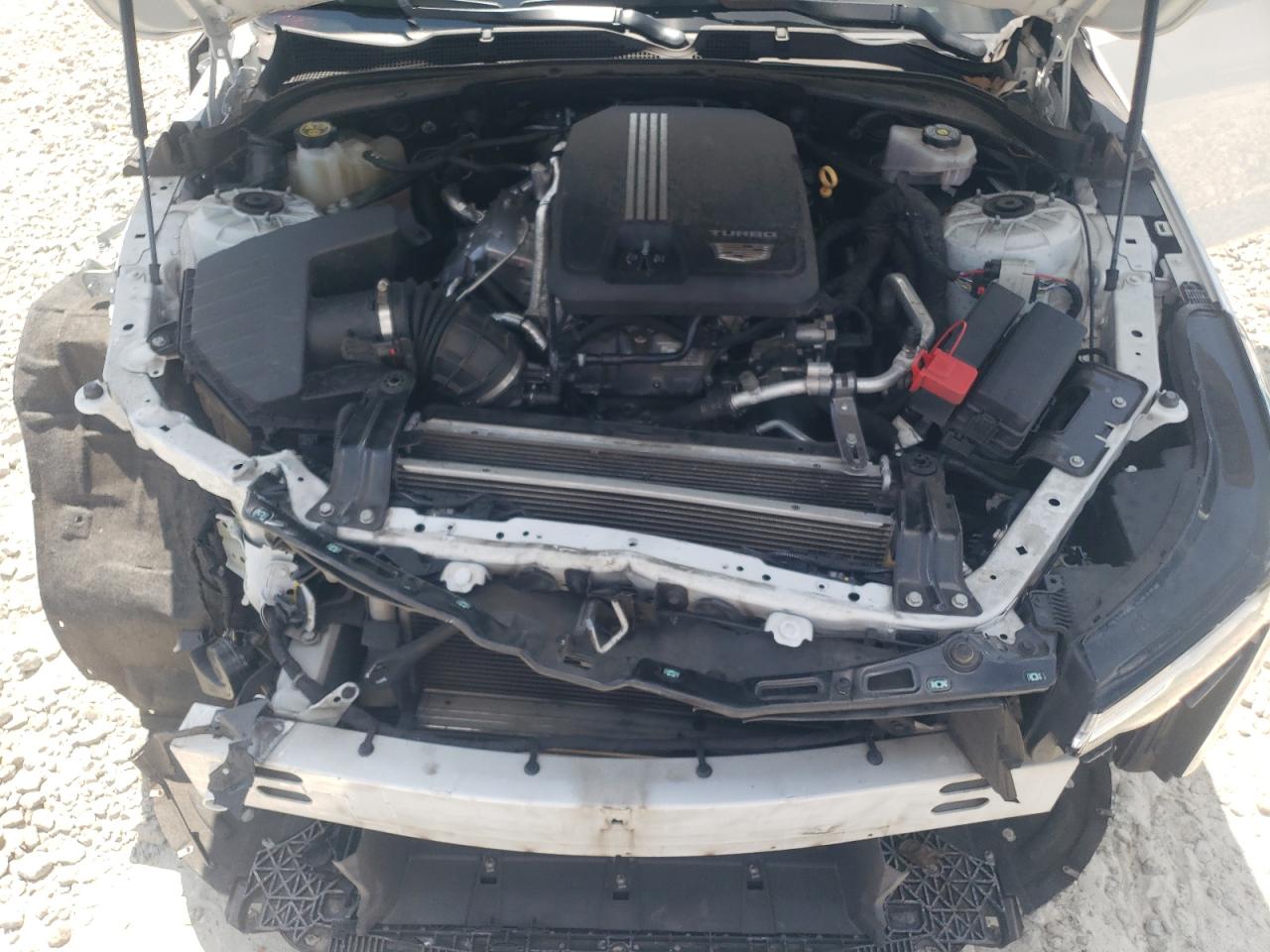 2020 Cadillac Ct4 Luxury VIN: 1G6DJ5RK5L0136017 Lot: 62846905