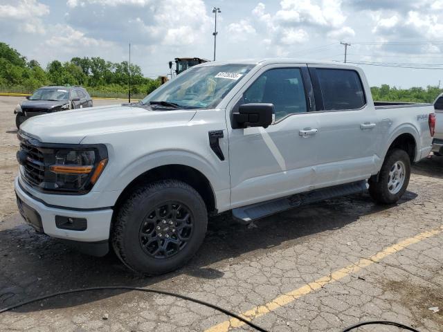  FORD All Models 2024 Серый