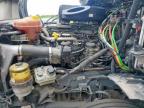 Houston, TX에서 판매 중인 2019 Freightliner Cascadia 126 Semi Truck - Minor Dent/Scratches