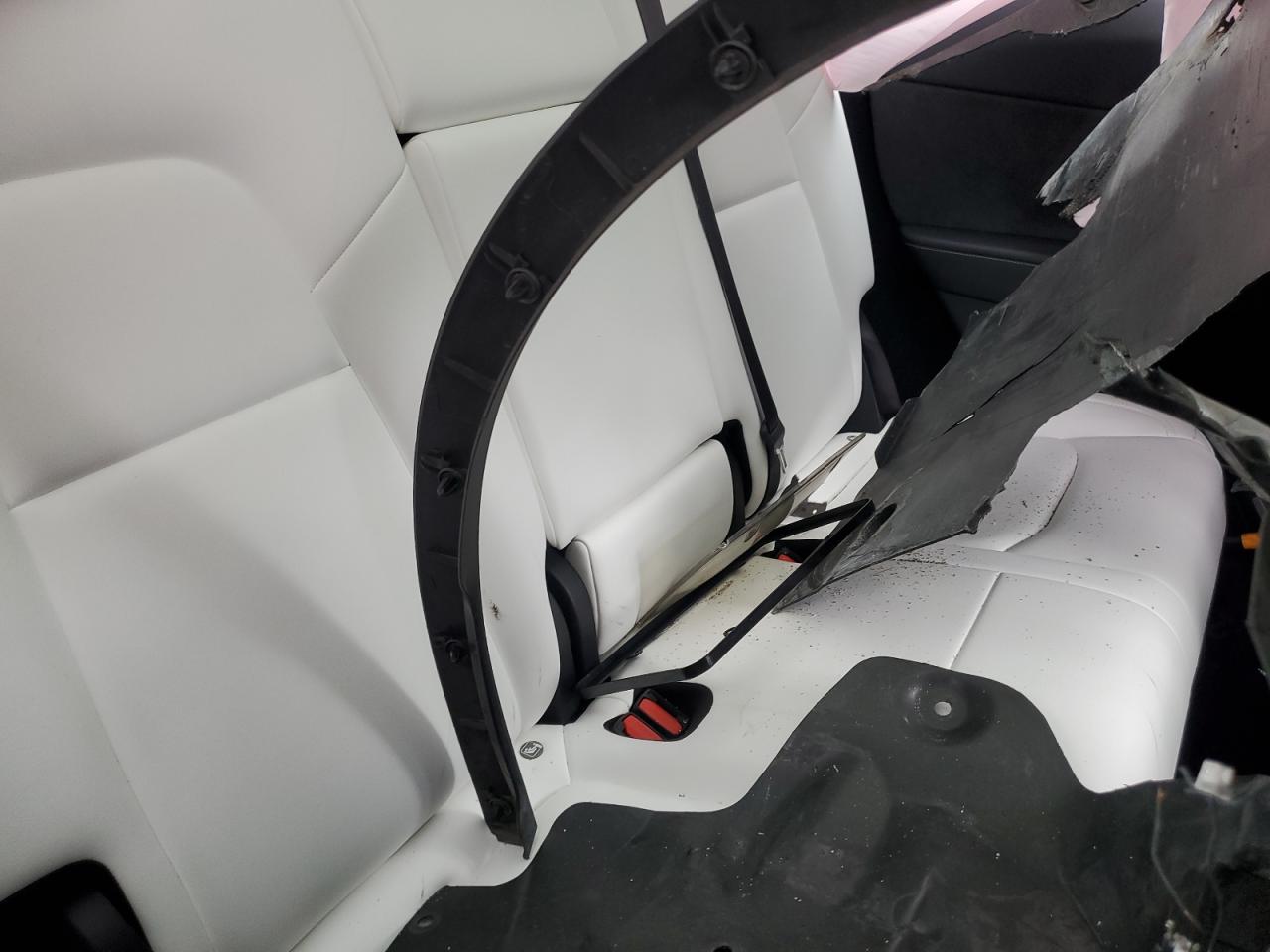 2024 Tesla Model Y VIN: 7SAYGDEF8RA295575 Lot: 59589735