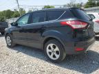 2014 Ford Escape Se   for Sale in Walton, KY - Minor Dent/Scratches
