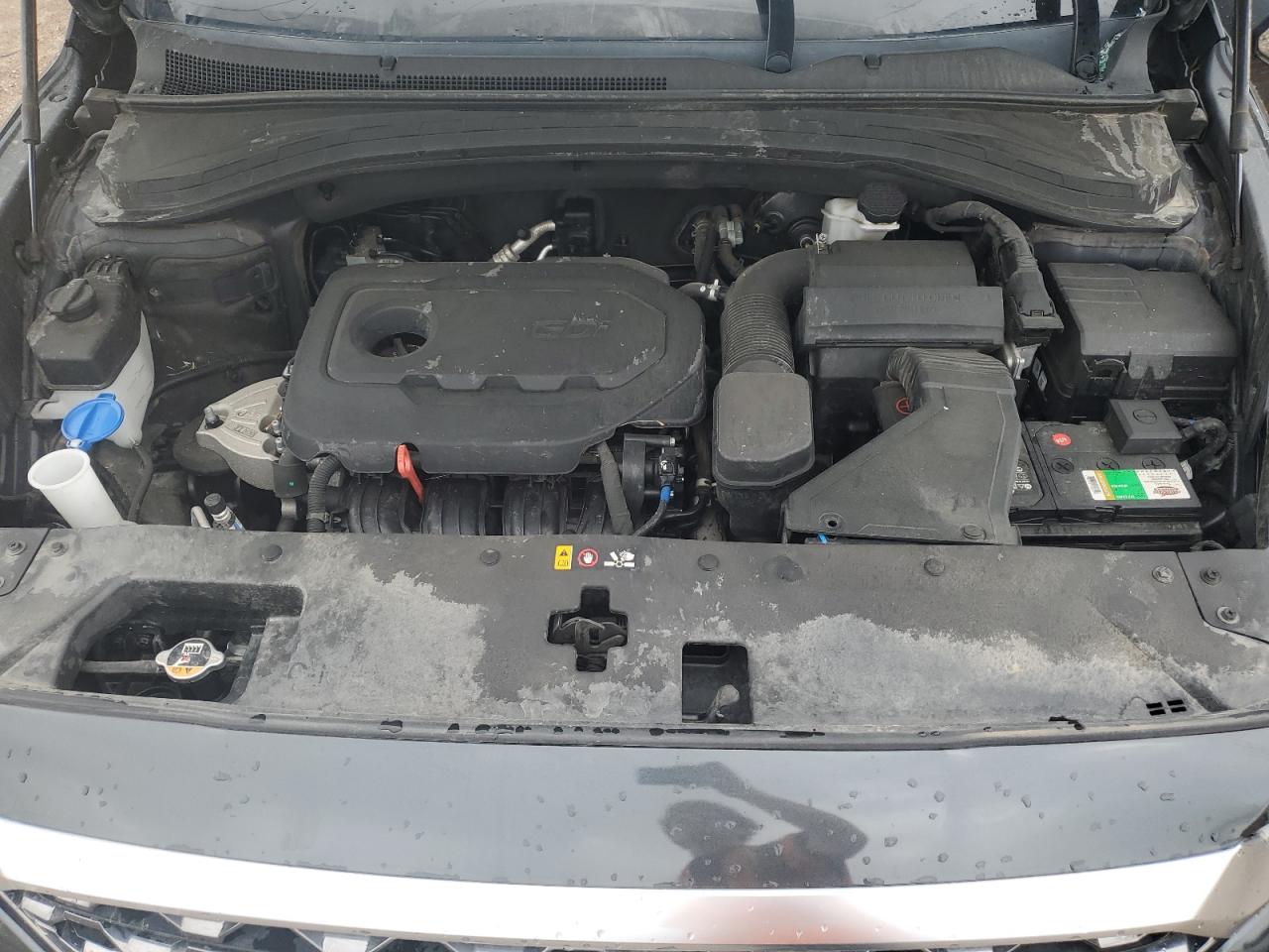 2020 Hyundai Santa Fe Sel VIN: 5NMS3CAD5LH250504 Lot: 62606415