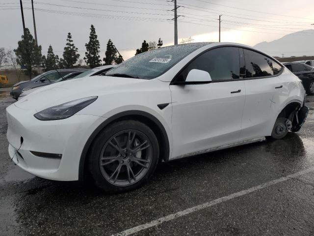  TESLA MODEL Y 2024 White