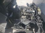 2012 Mitsubishi Fuso Truck Of America Inc Fe Fec52S na sprzedaż w Miami, FL - Front End