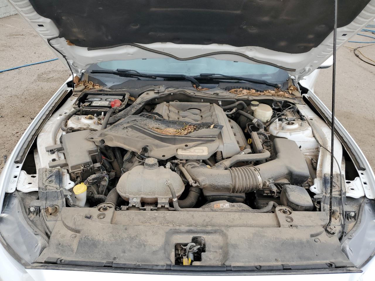 2017 Ford Mustang Gt VIN: 1FA6P8CF2H5354045 Lot: 59752485