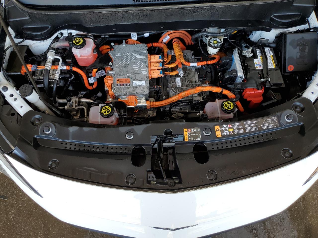 2023 Chevrolet Bolt Euv Lt VIN: 1G1FY6S06P4178509 Lot: 61602265