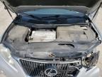 2010 Lexus Rx 350 продається в Ellwood City, PA - Front End
