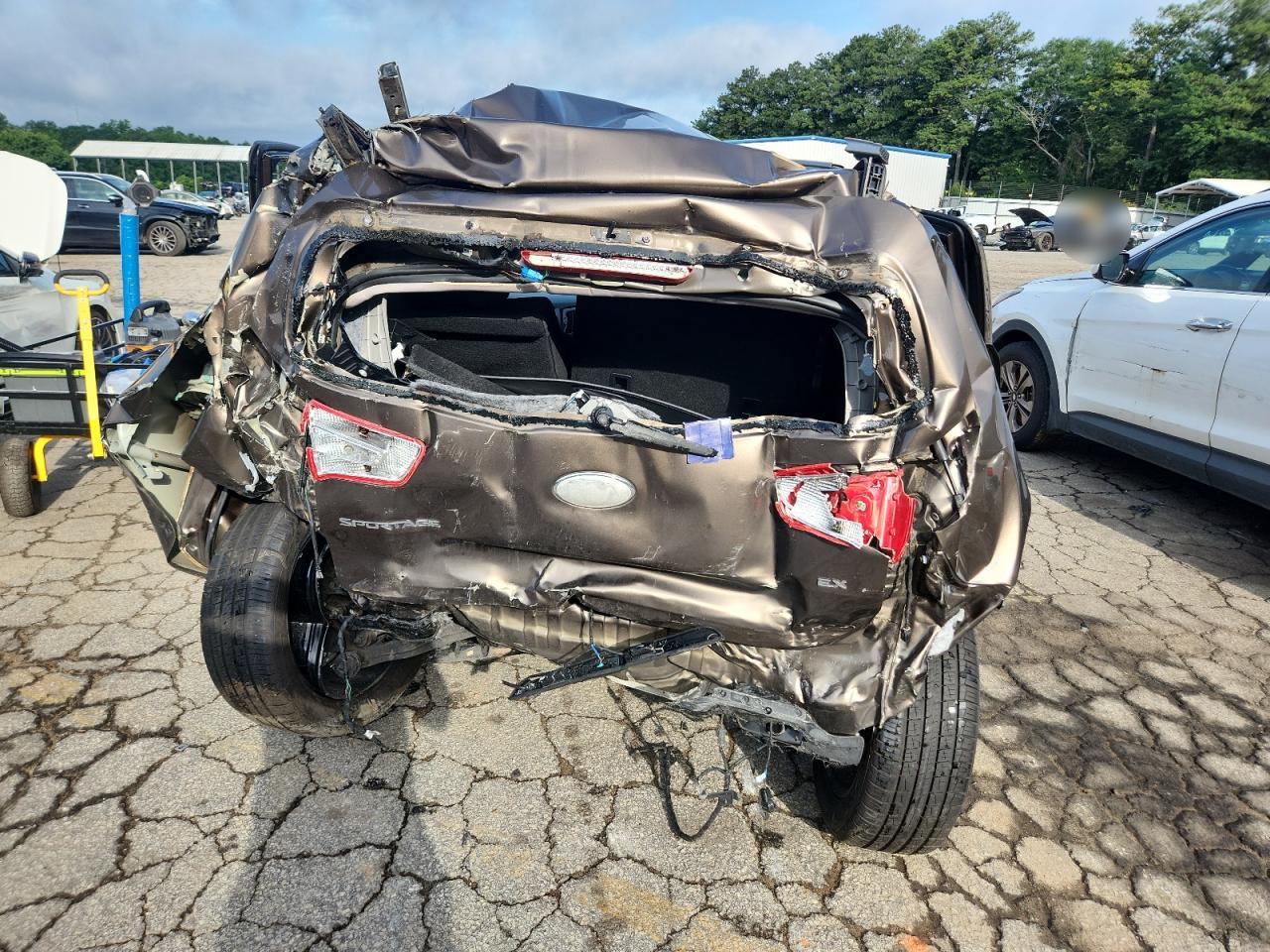 2013 Kia Sportage Ex VIN: KNDPC3A26D7399971 Lot: 61525765