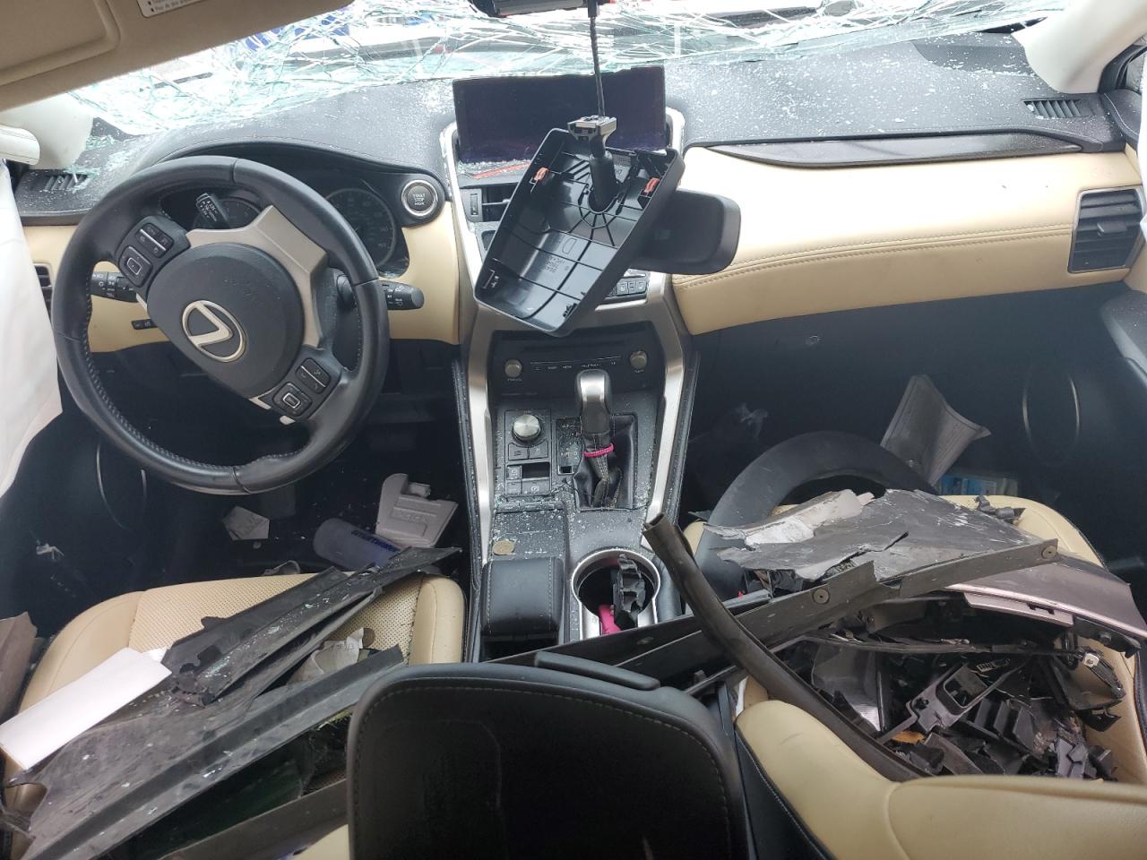2018 Lexus Nx 300 Base VIN: JTJYARBZ9J2100021 Lot: 62465225