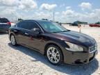 2013 Nissan Maxima S იყიდება Taylor-ში, TX - Hail