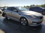 2013 Kia Optima Hybrid for Sale in Littleton, CO - Rear End