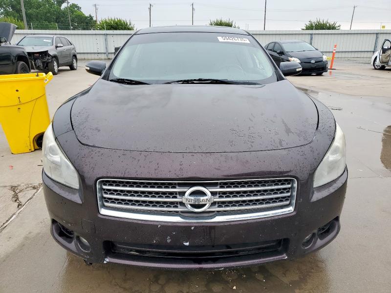  NISSAN MAXIMA 2014 Brown