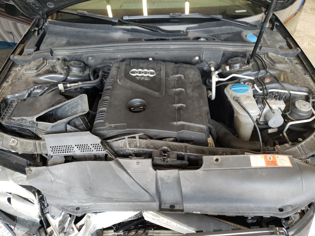 2010 Audi A4 Premium Plus VIN: WAUFFAFL5AN020682 Lot: 59875725