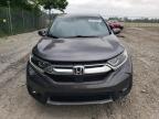 2019 Honda Cr-V Exl للبيع في Cicero، IN - Side