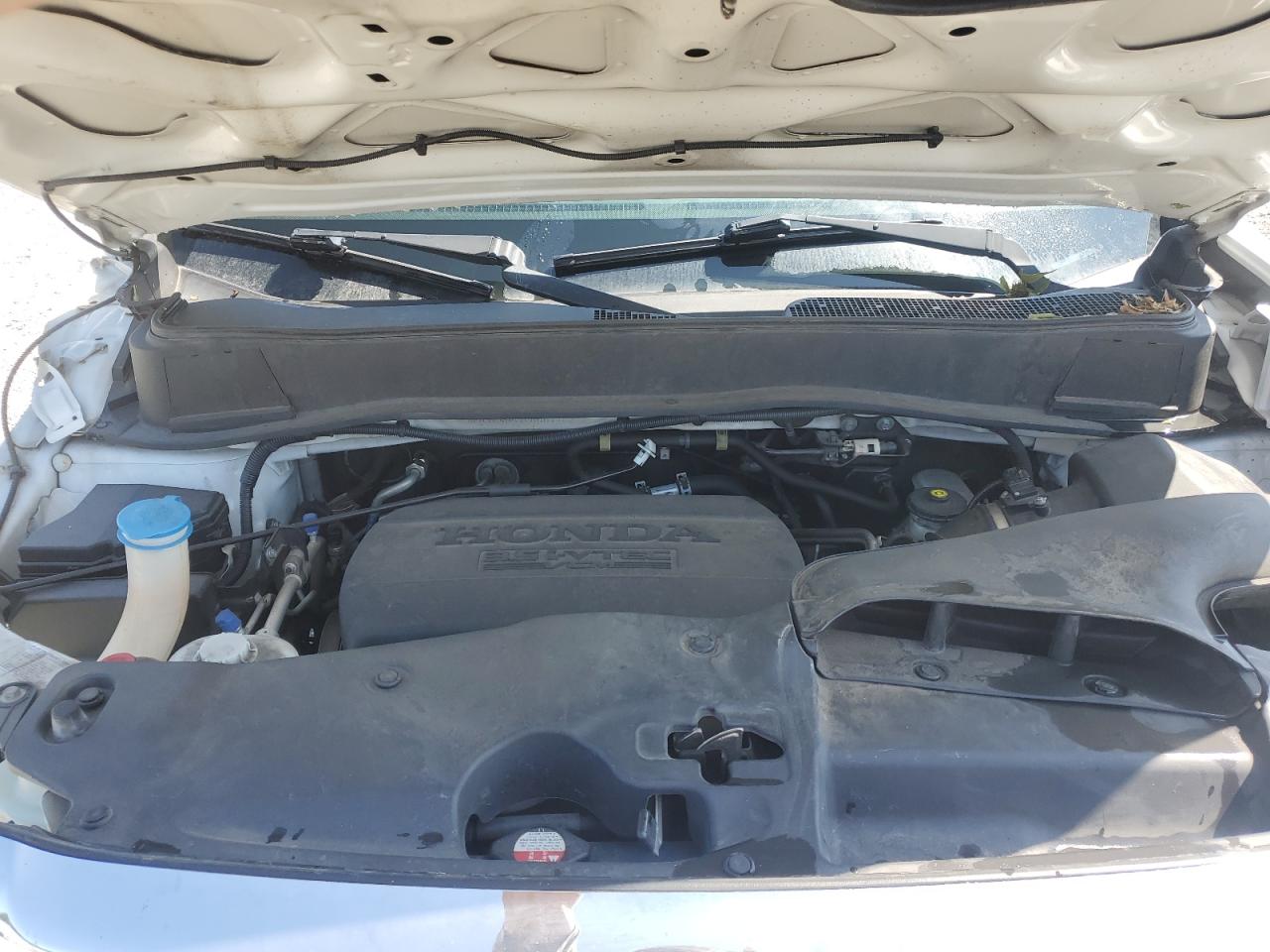 2015 Honda Pilot Exl VIN: 5FNYF4H57FB007482 Lot: 61909555