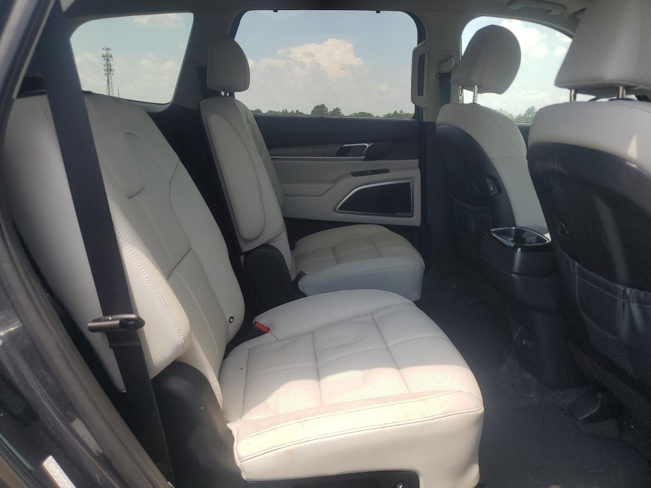 2022 Kia Telluride Ex VIN: 5XYP3DHC3NG279540 Lot: 61912825