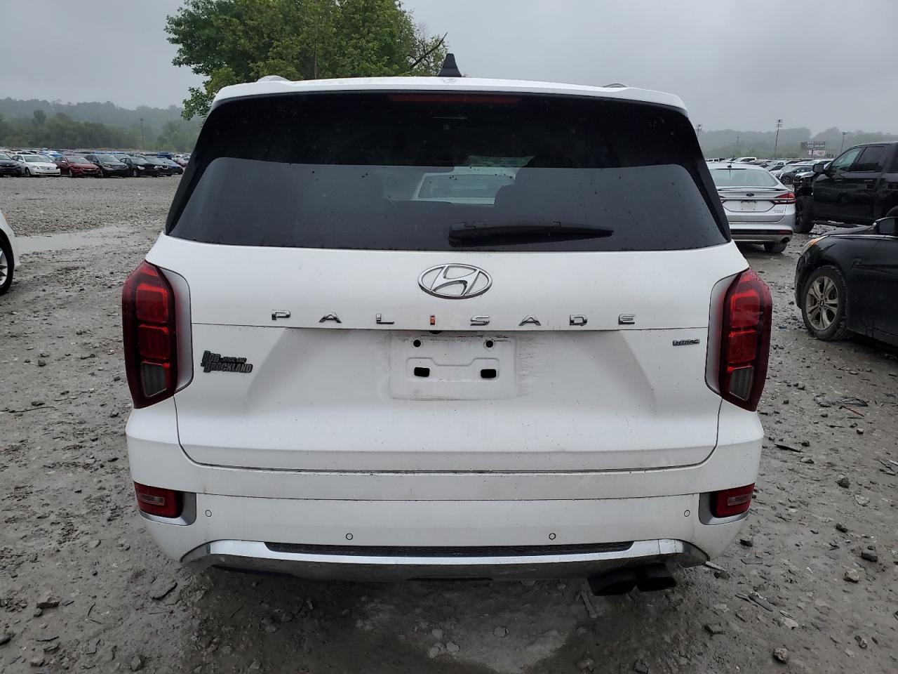 2020 Hyundai Palisade Limited VIN: KM8R5DHE9LU095201 Lot: 60955075