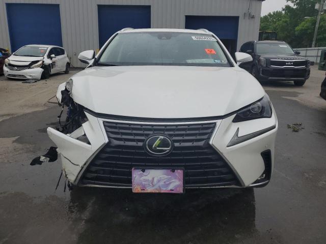  LEXUS NX 2020 White