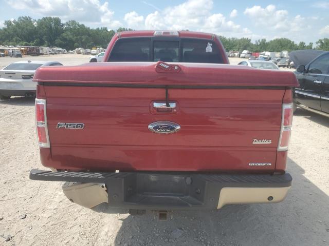  FORD F-150 2013 Два тона