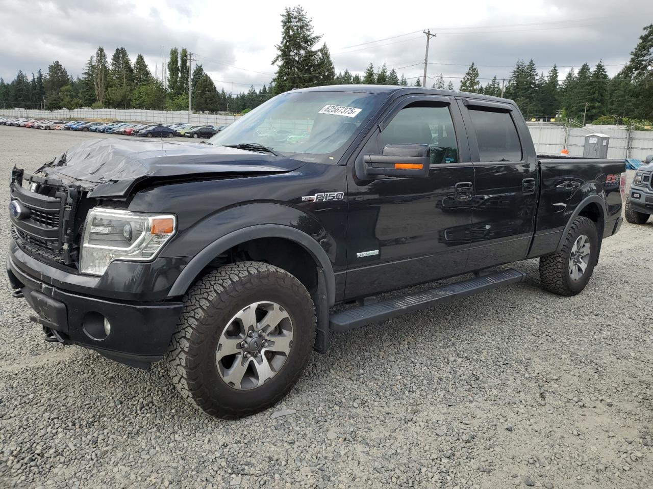 FORD F-150 2013 1FTFW1ETXDKE58902