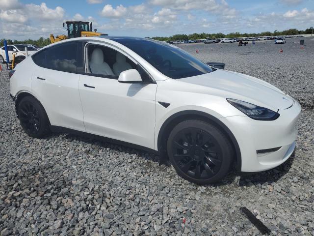  TESLA MODEL Y 2021 White