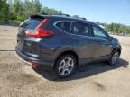 2019 HONDA CR-V EX   à vendre chez Copart ON - COOKSTOWN