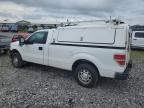2013 Ford F150  for Sale in Madisonville, TN - Minor Dent/Scratches