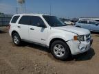 2011 Ford Escape Hybrid   for Sale in Chicago Heights, IL - Front End