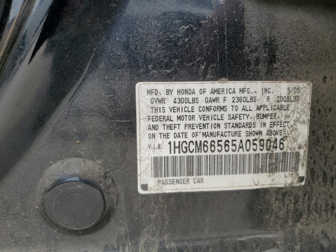 2005 Honda Accord Ex VIN: 1HGCM66565A059046 Lot: 93348875